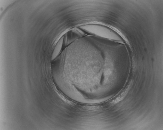 X0000067511289200605051819