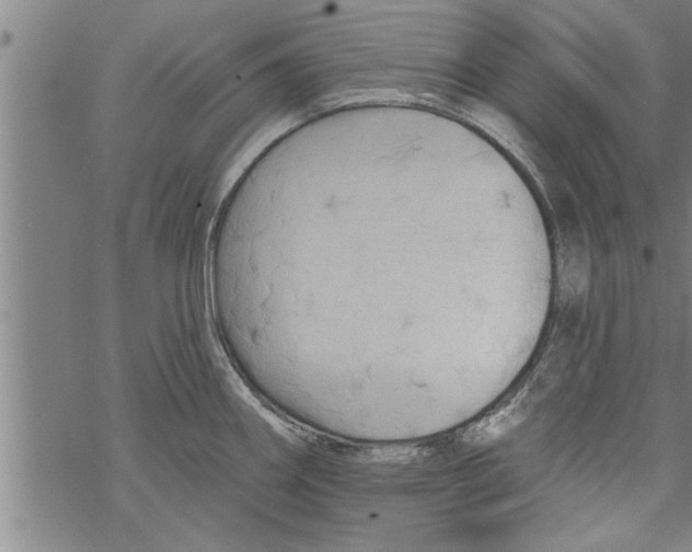 X0000067511290200605051819