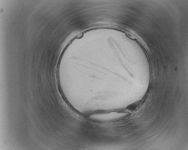 X0000067511291200605051819