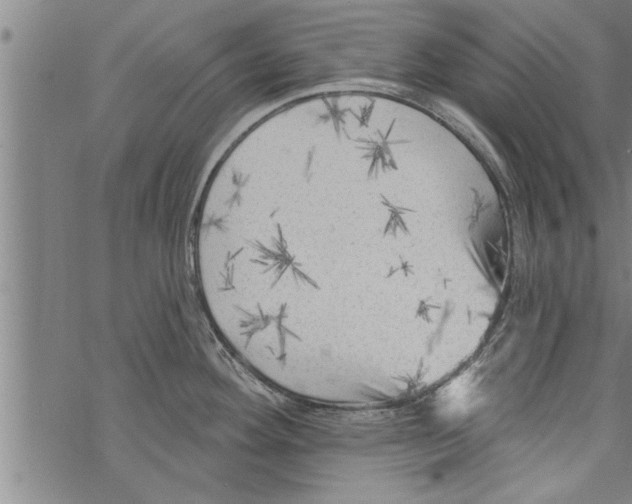 X0000067511292200605051819