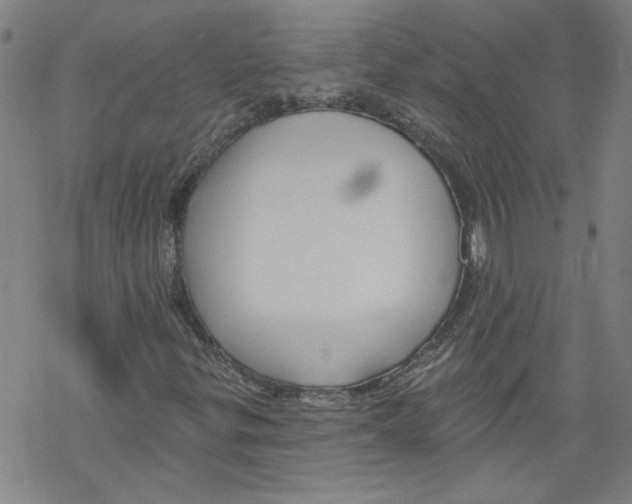 X0000067511299200605051819