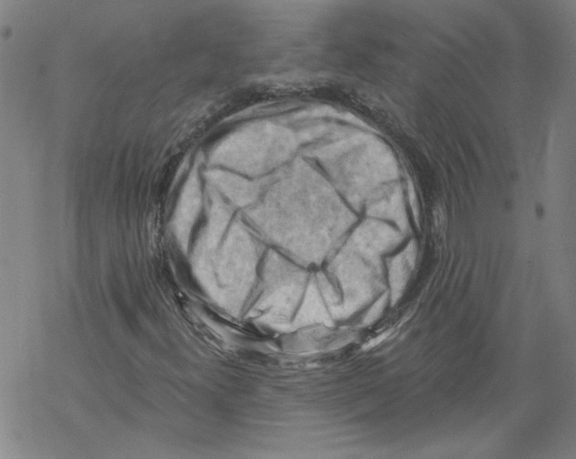 X0000067511300200605051819