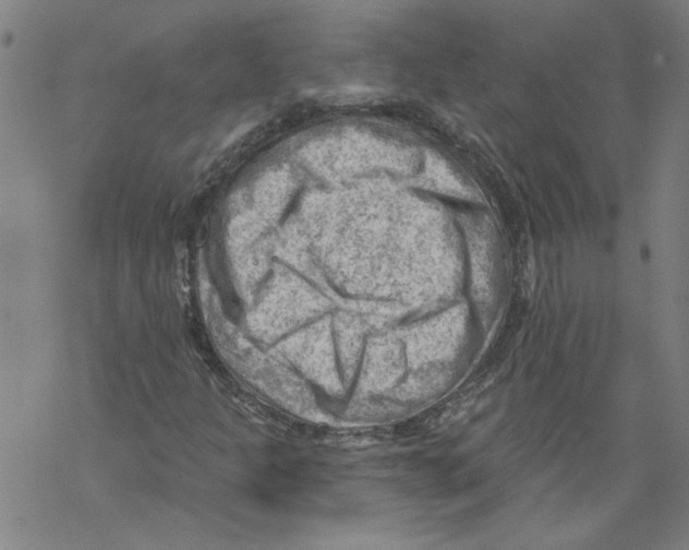 X0000067511301200605051819