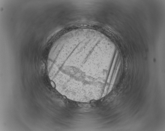 X0000067511302200605051819