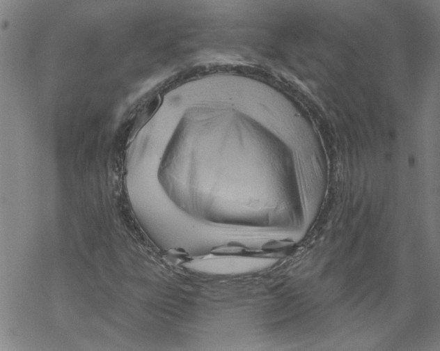 X0000067511303200605051819