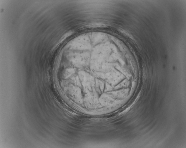 X0000067511305200605051819