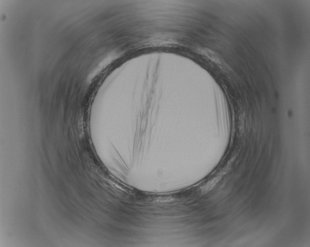 X0000067511306200605051819