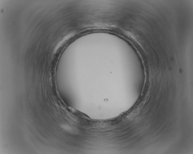 X0000067511307200605051819