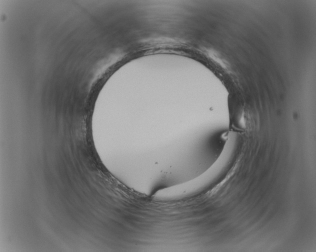 X0000067511309200605051819