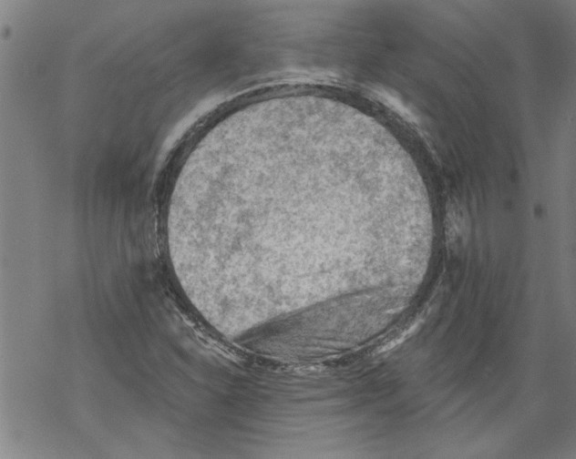 X0000067511310200605051819