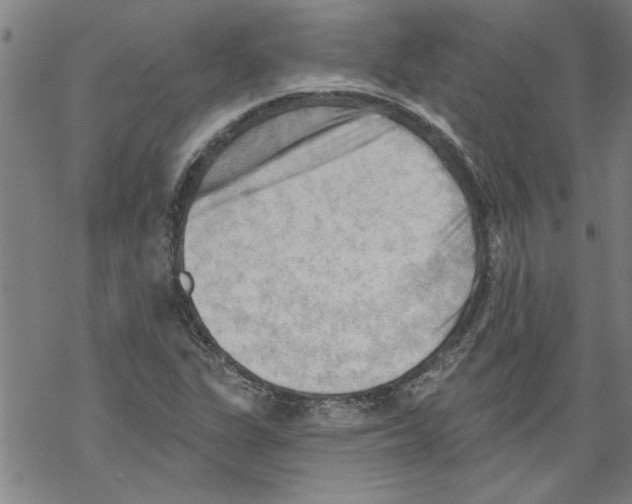 X0000067511311200605051819