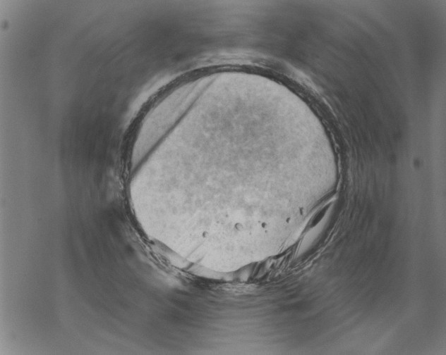 X0000067511312200605051819