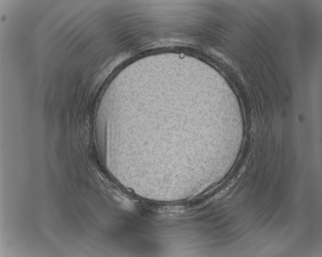 X0000067511313200605051819