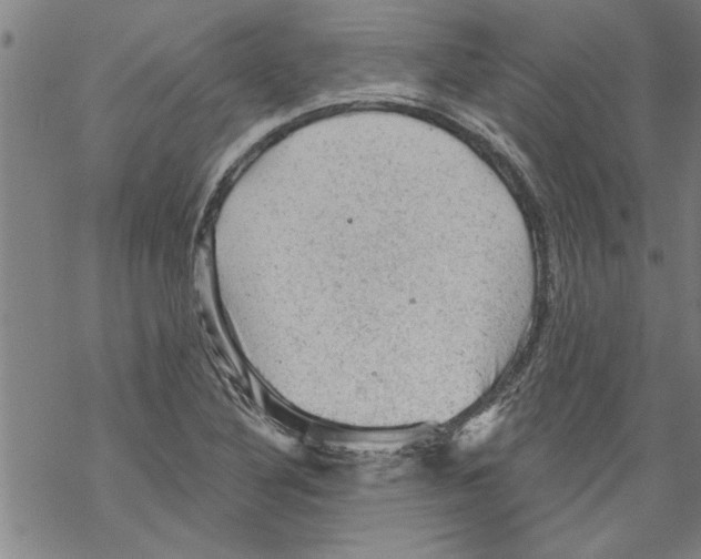 X0000067511316200605051819