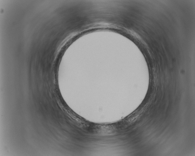 X0000067511318200605051819