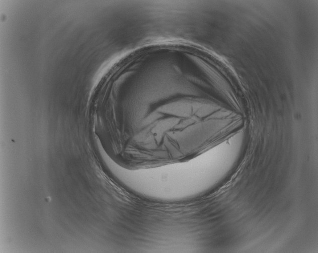 X0000067511319200605051819