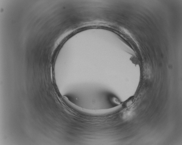 X0000067511320200605051819