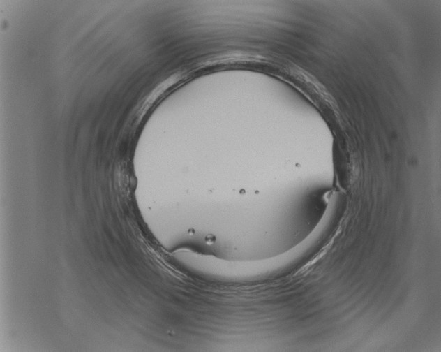 X0000067511321200605051819