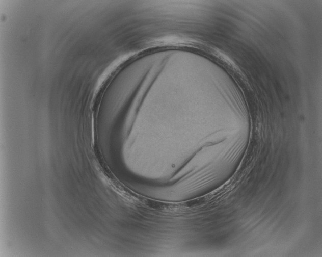 X0000067511323200605051819