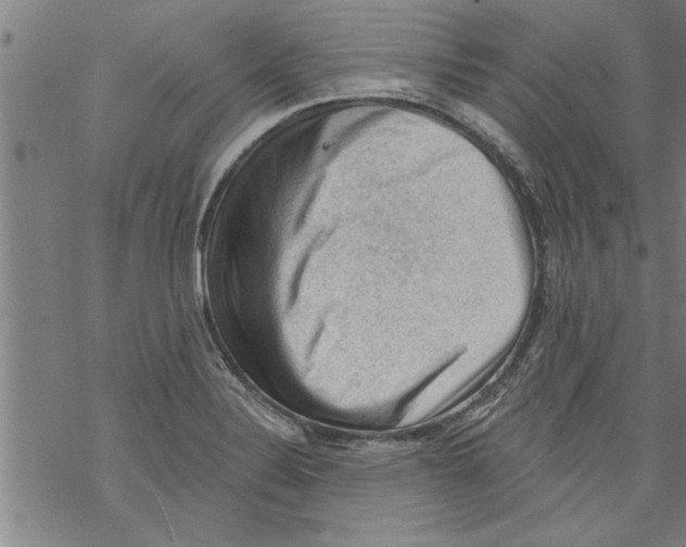 X0000067511324200605051819