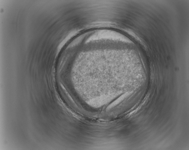 X0000067511325200605051819