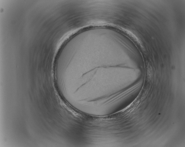 X0000067511327200605051819