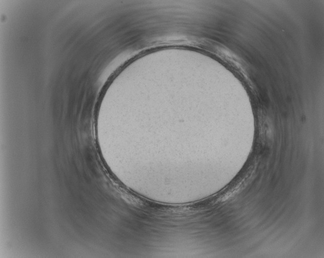 X0000067511328200605051819