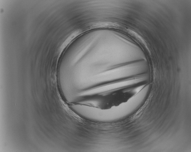 X0000067511330200605051819