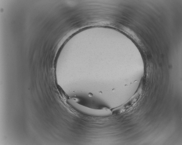 X0000067511332200605051819