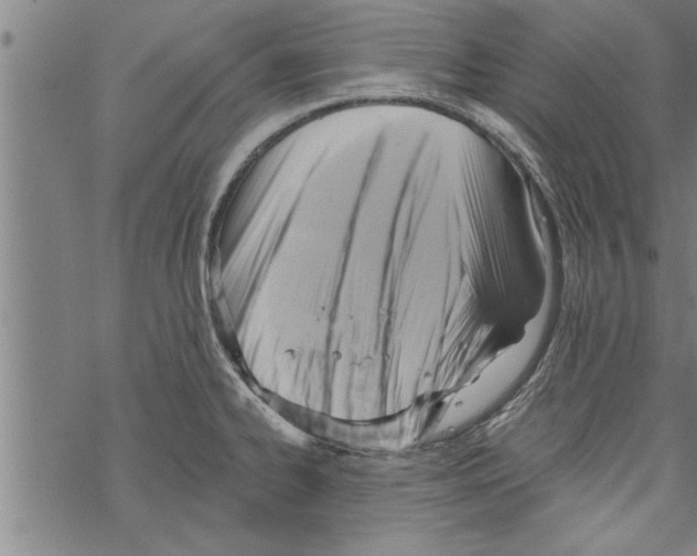 X0000067511334200605051819