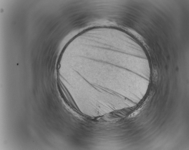 X0000067511335200605051819