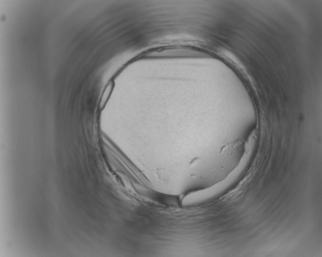 X0000067511336200605051819