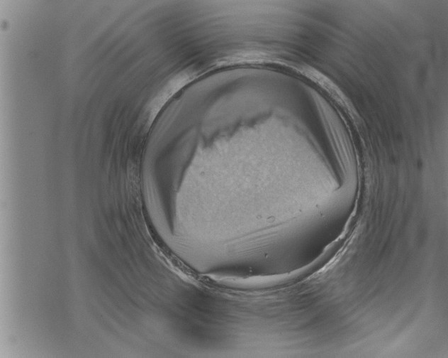 X0000067511337200605051819