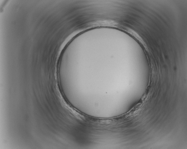 X0000067511339200605051819