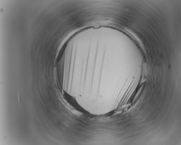 X0000067511340200605051819