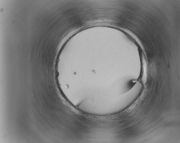 X0000067511341200605051819