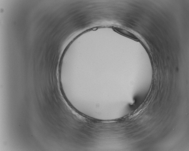 X0000067511343200605051819