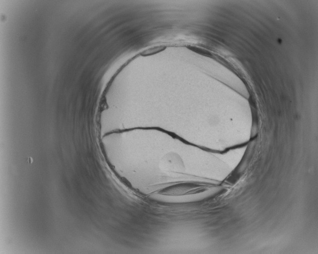 X0000067511344200605051819