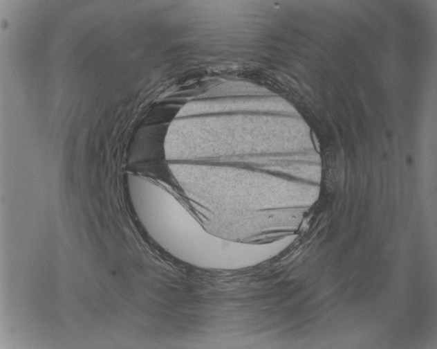 X0000067511345200605051819