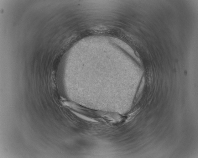 X0000067511346200605051819