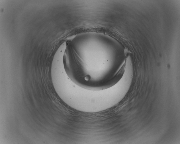 X0000067511348200605051819