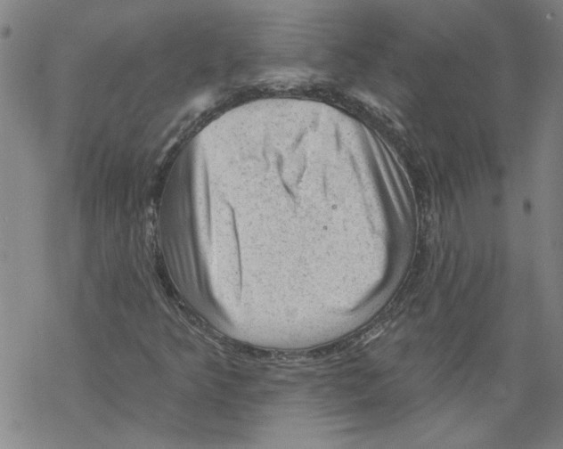 X0000067511349200605051819