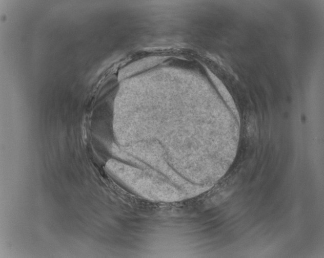 X0000067511350200605051819