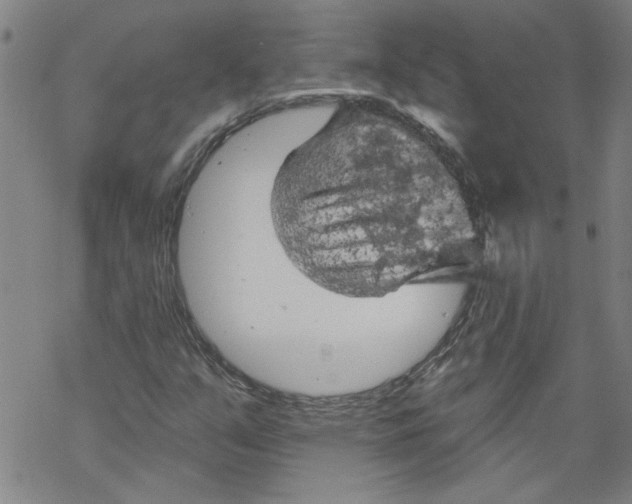 X0000067511351200605051818