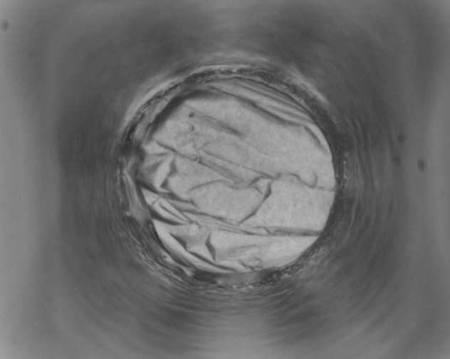 X0000067511352200605051818