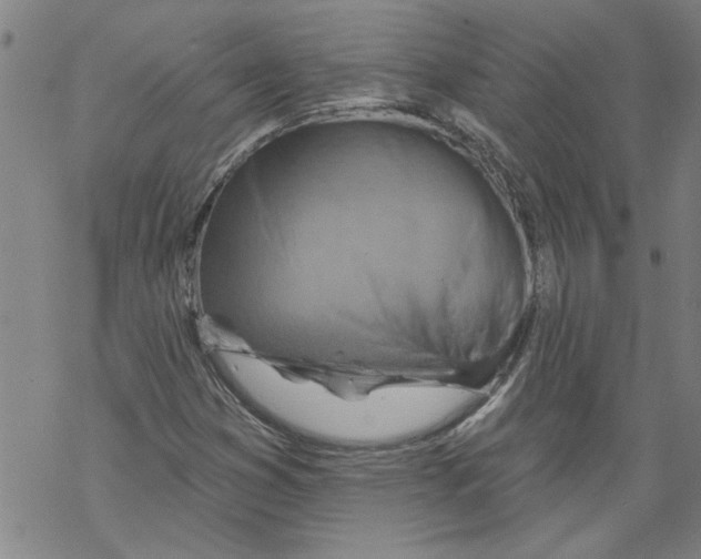 X0000067511353200605051818