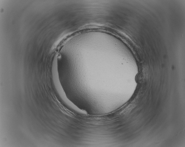 X0000067511355200605051818