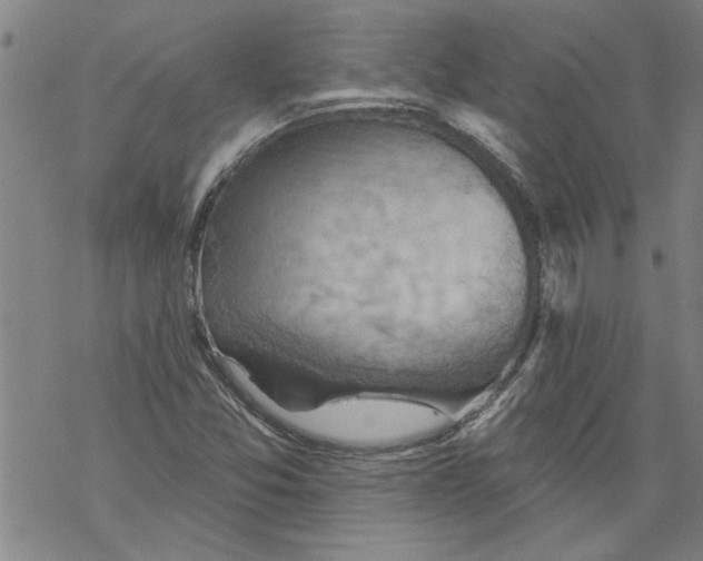 X0000067511357200605051818