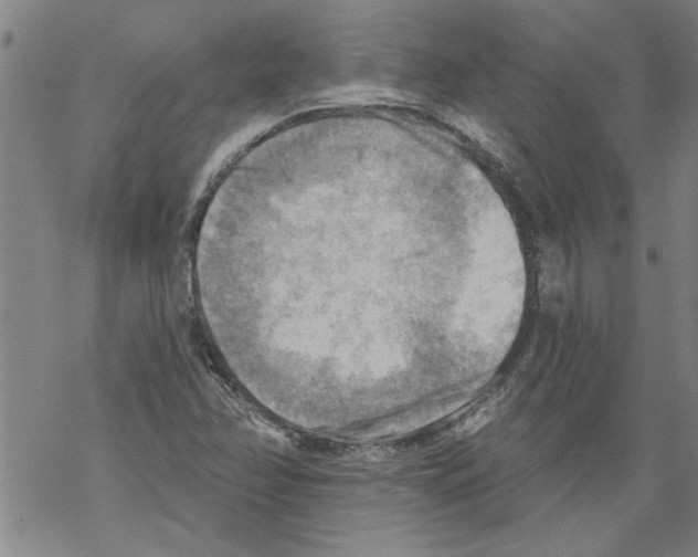 X0000067511358200605051818