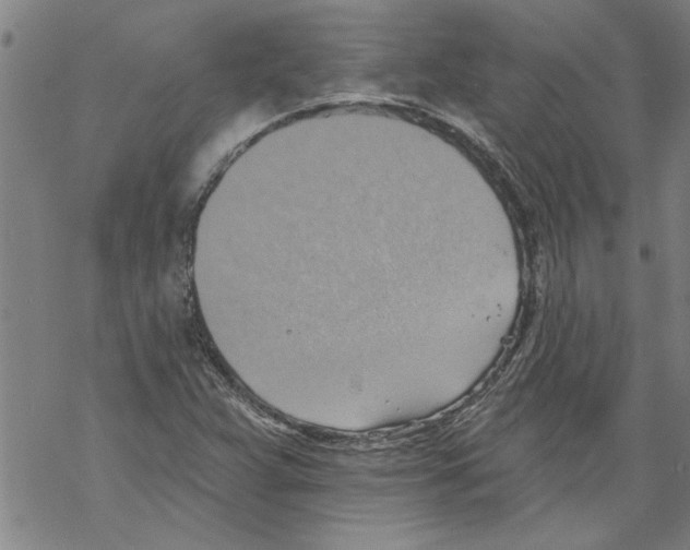 X0000067511359200605051818